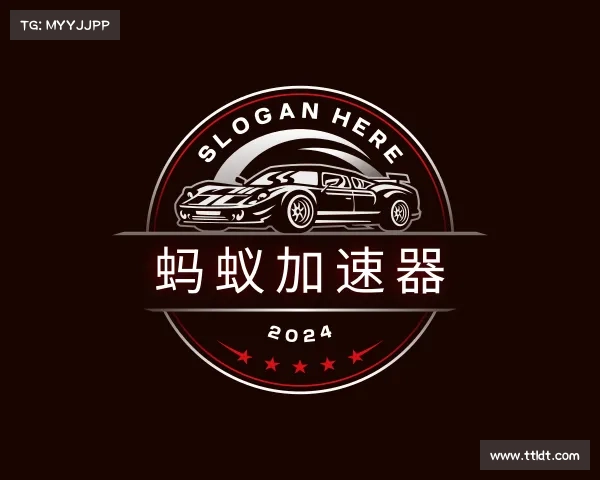 解读蚂蚁加速器